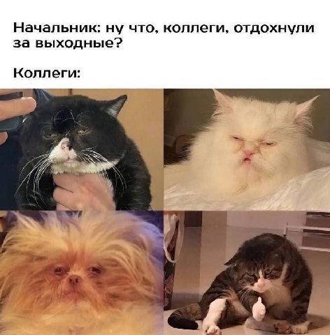Начальник: ну что, коллеги, отдохнули за выходные? Коллеги: у к