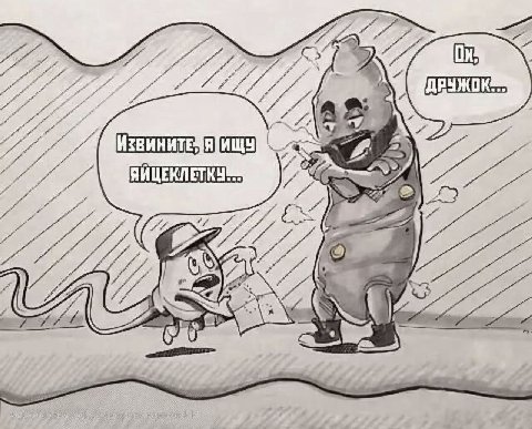 77 2 7 ИЗВИНИТЕ 2 A