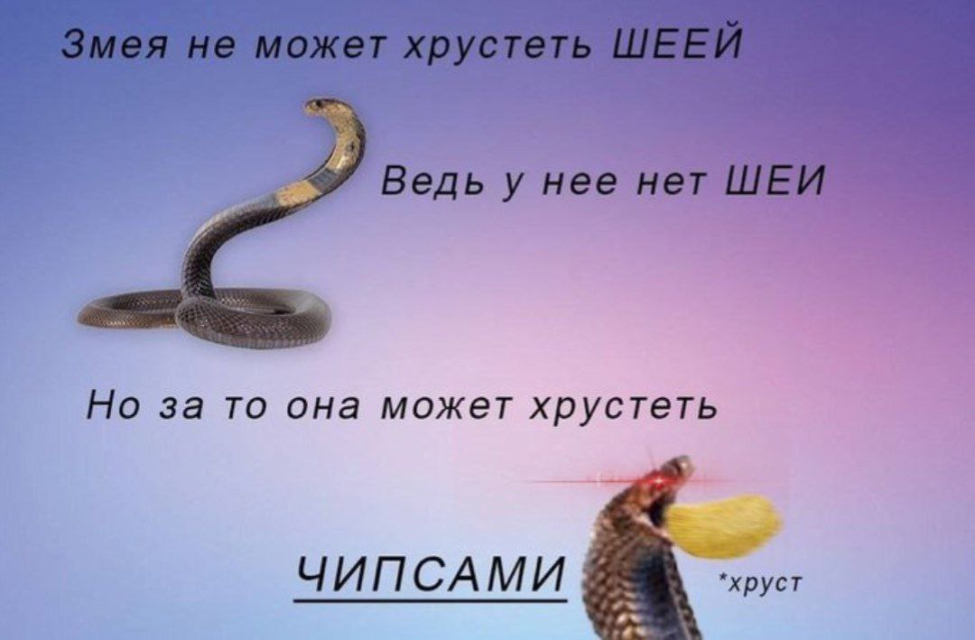 Ведь у нее нет Но за то она может хрустеть ЧИПСАМИ