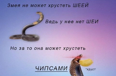 Ведь у нее нет Но за то она может хрустеть ЧИПСАМИ