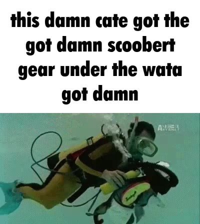 this damn cate got the got damn scoobert gear under the wata got damn