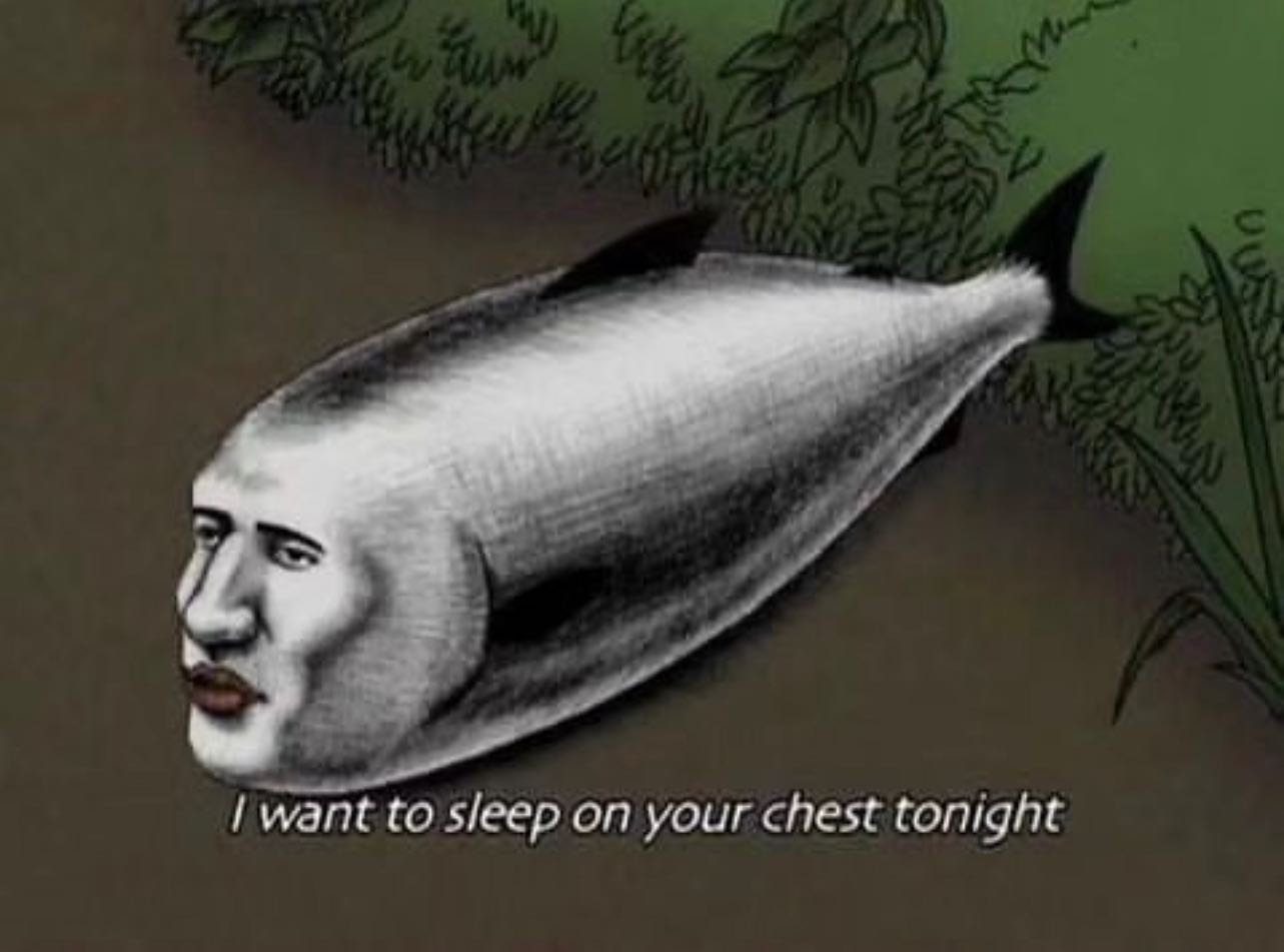 want to sleep on your chest tonight