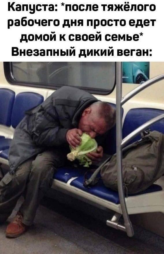 Капуста: *после тяжёлого рабочего дня просто едет домой к своей семье* Внезапный дикий веган: