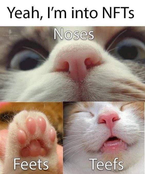Yeah, into NFTs Noses Feets Teefs