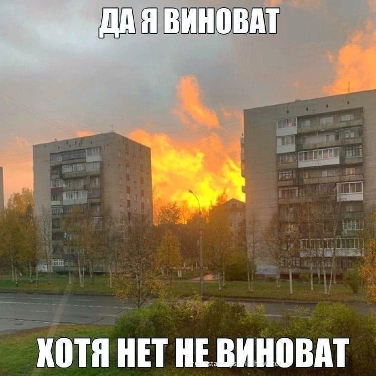 Я ВИНОВАТ КОТЯ НЕТ НЕ ВИНОВАТ