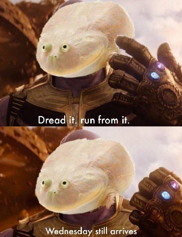 Dread it. run from it. Wednesday still arrives