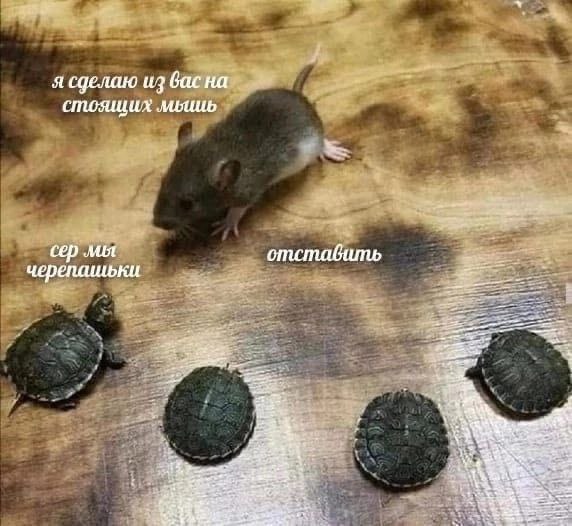 я сделаю из вас на стоящих сер отставить AS