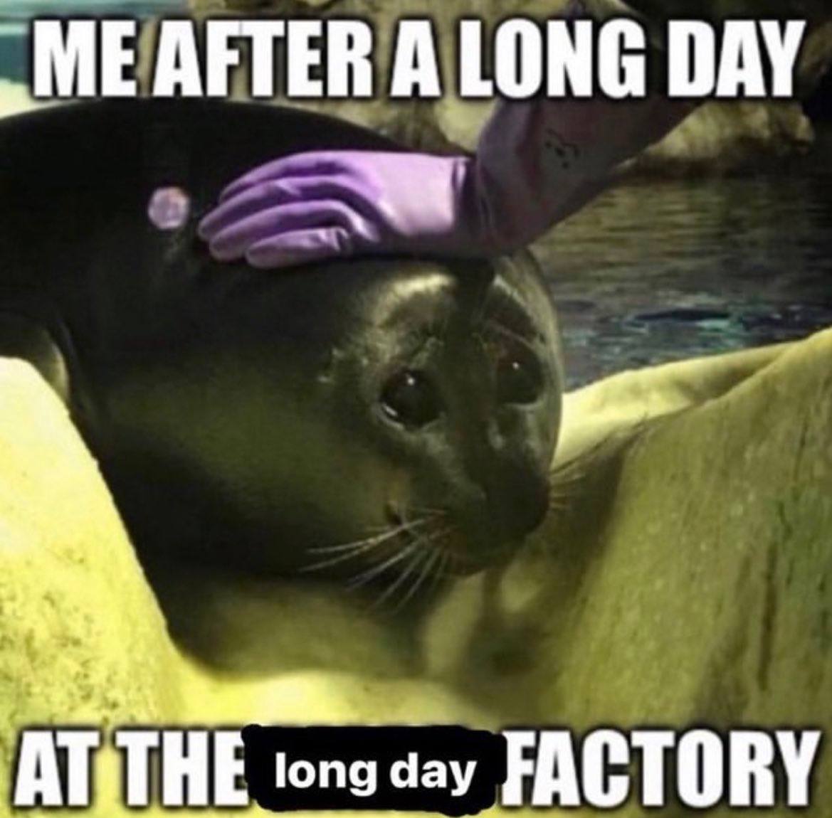 ME AFTER A LONG DAY АТТНЕ чау FACTORY