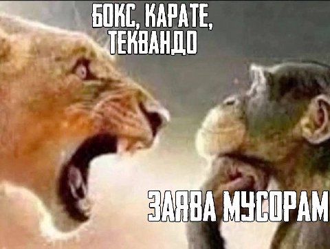 HOKE, КАРАТЕ,