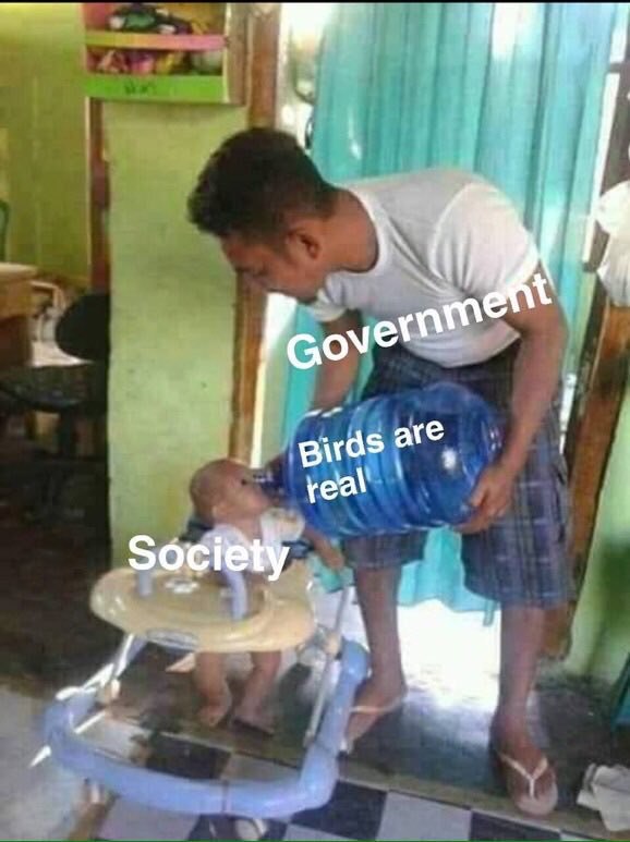if Gove ram pirds 50 сей