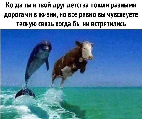 Когда ты и твой друг детства пошли разными дорогами в жизни, но все равно вы чувствуете тесную связь когда бы ни встретились 4