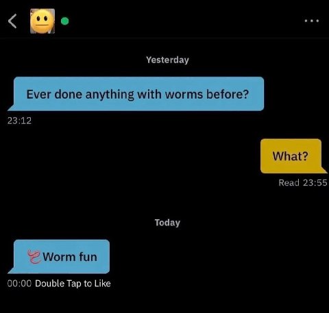 Yesterday Ever done anything with worms before? 23:12 What? Read 23:55 Today Worm fun 00:00 Double Tap to Like