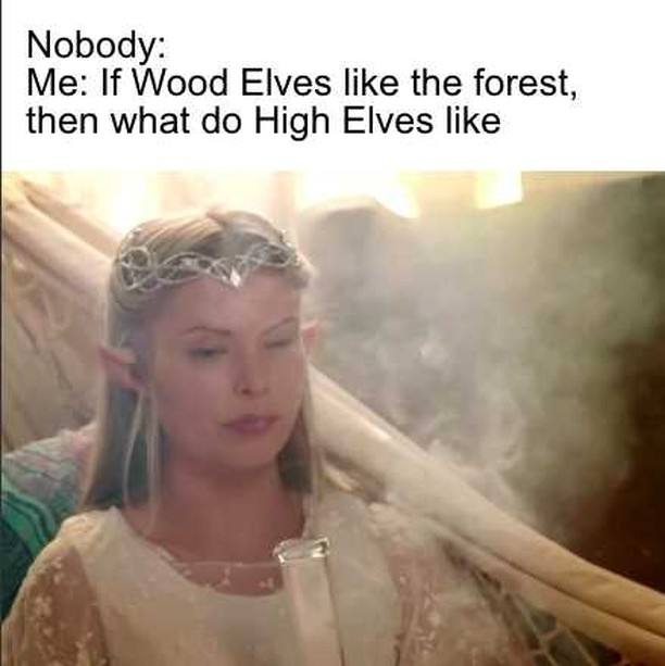 Nobody: Me: If Wood Elves like the forest, then what High Elves like к