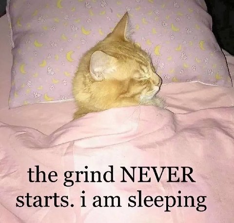 the grind NEVER starts. 1 sleeping