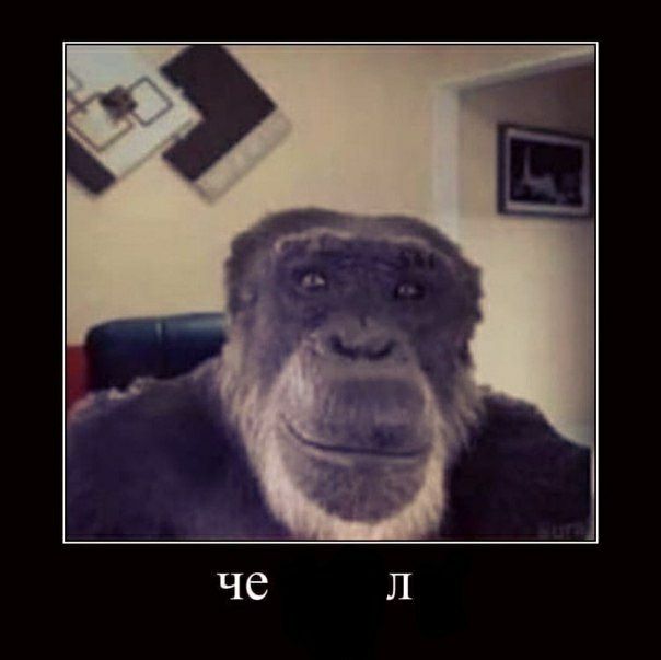 че