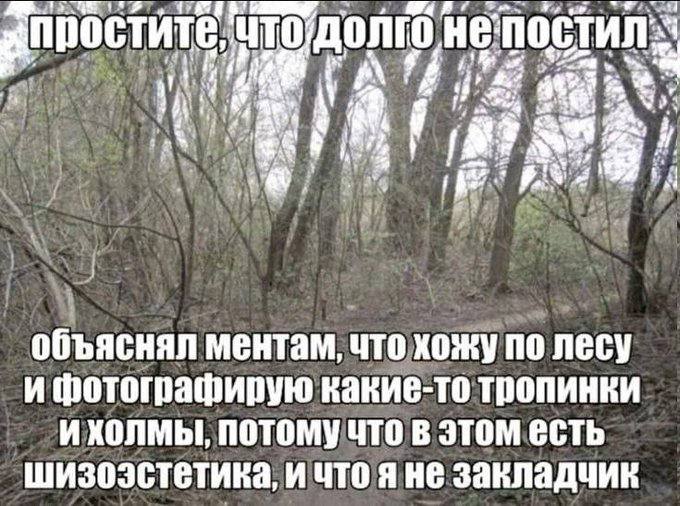 4 объяснял ментам, что хожу по лесу и фотографирую какие-то тропинки и холмы, потому что в этом есть шизоэстетика, и что закладчик