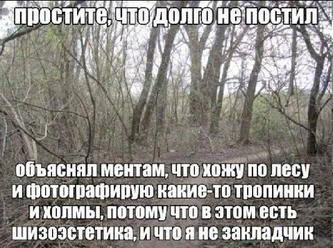 4 объяснял ментам, что хожу по лесу и фотографирую какие-то тропинки и холмы, потому что в этом есть шизоэстетика, и что закладчик