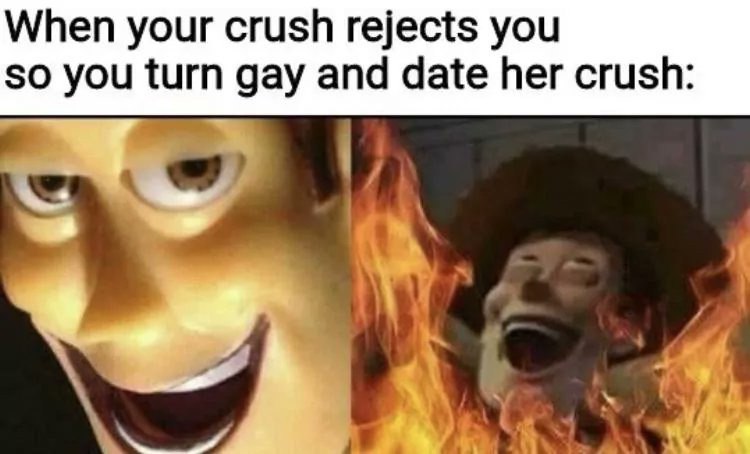 When your crush rejects you so you turn gay and date her crush: