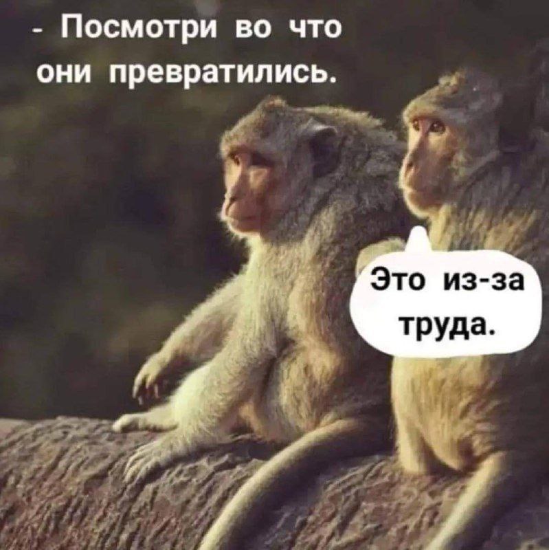 Посмотри во что они превратились. Это из-за труда.