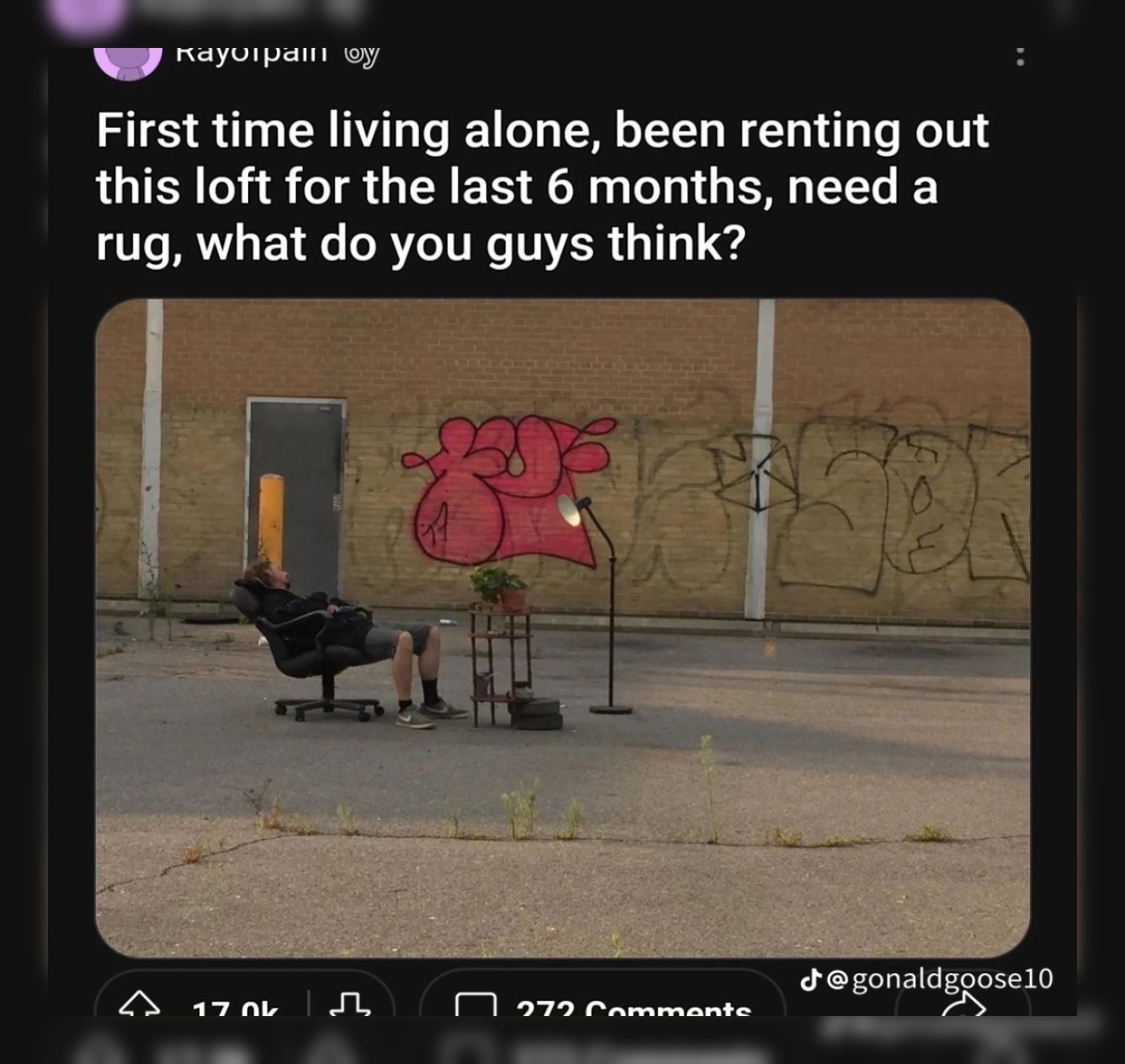 Я First time living alone, been renting out this loft for the last 6 months, need a rug, what you guys think? @gonaldgoosel0 17 979