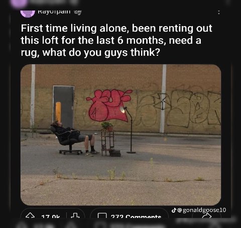 Я First time living alone, been renting out this loft for the last 6 months, need a rug, what you guys think? @gonaldgoosel0 17 979