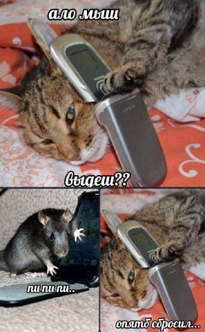 A быаеш?? и See соросил...