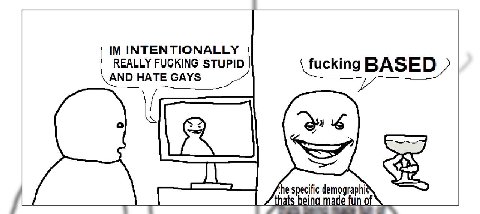INTE REALLY FUCKING STUPID AND HATE GAYS fucking