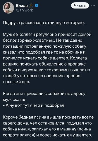 Владя Читать Подруга рассказала отличную историю. Муж ее коллеги регулярно приносит домой беспризорных животных. Нетак давно притащил потрепанную пожилую собаку, сказал что подобрал где то на обочине 