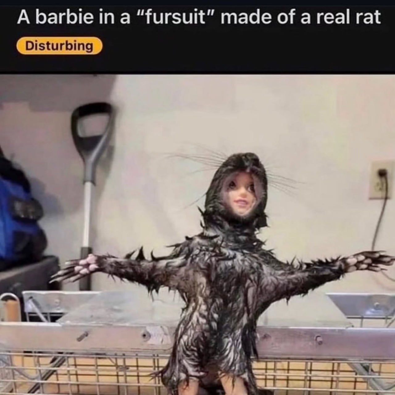 A barbie ina “fursuit” made of a real rat