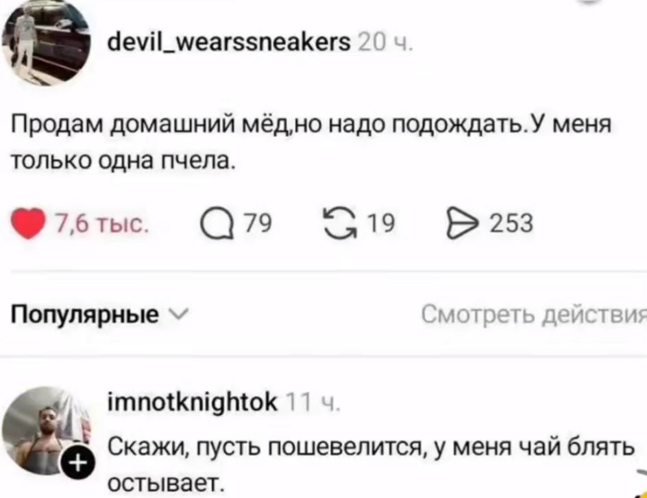 9 devil_wearssneakers 20 Продам домашний надо подождать.У меня только одна пчела. С79 Популярные Смотреть действия imnotknightok 4 Скажи, пусть пошевелится, у меня чай блять остывает.