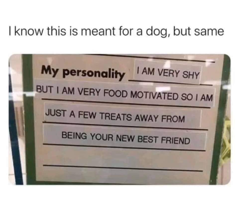 know this is meant for a dog, but same