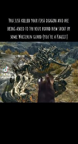 YOU JUST KILLED YOUR FIRST DRAGON AND ARE BEING ASKED ТО TRY YOUR BRAND NEW SHOUT BY SOME WHITERUN GUARD (YOU'RE A KHAJLIT)