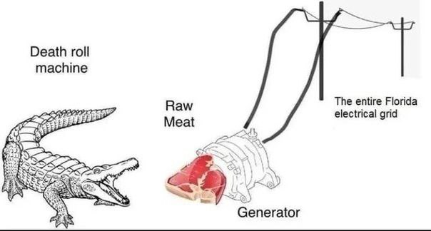 Death roll machine The entire Florida Raw electrical grid Meat Generator AS