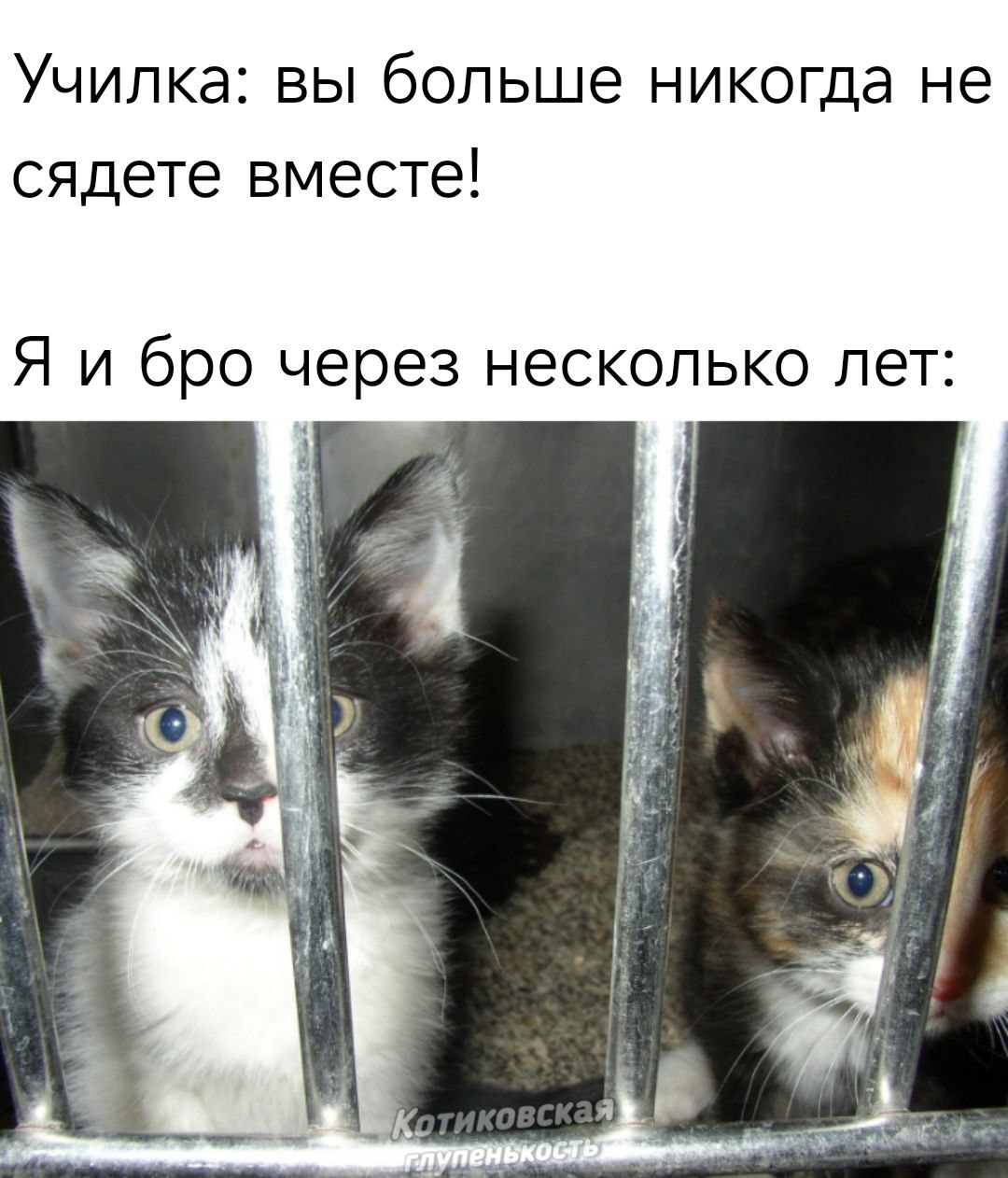 А вот и сядем😁

глупенькость🐾