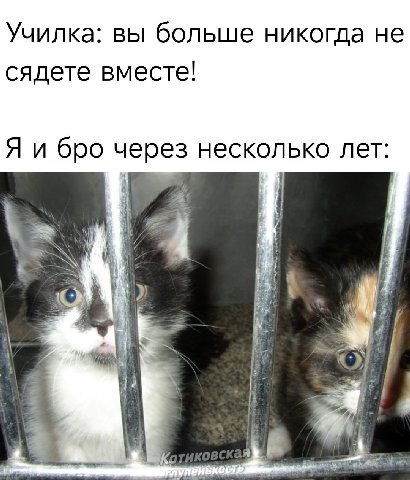 А вот и сядем😁

глупенькость🐾