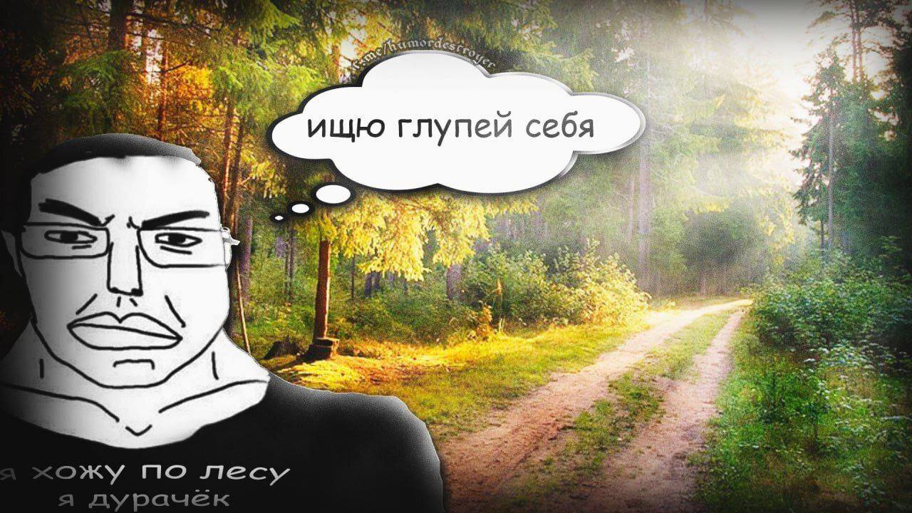 a tdes 2. ищю глупей себя AS 29 3 AS at he 2 we по лесу а