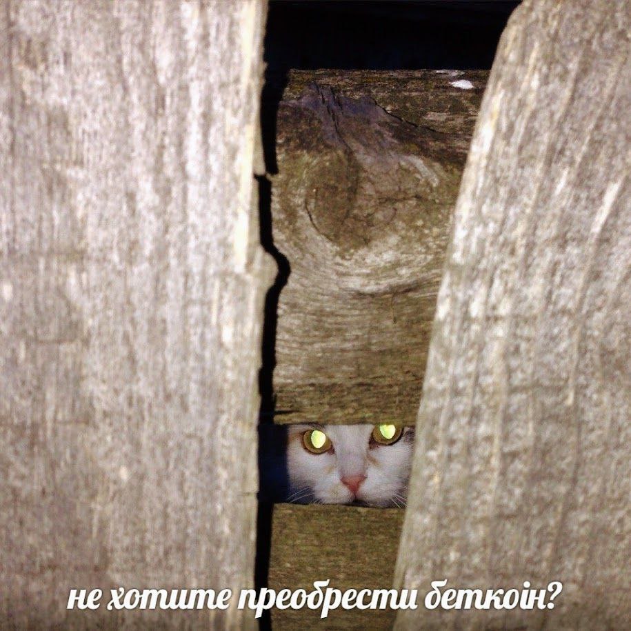 i у foe a i aid 7 не хотите преодрести деткон?
