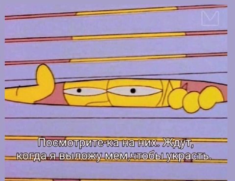 Посмотрите-ка на них. Ждут, когда я выложу украсть.