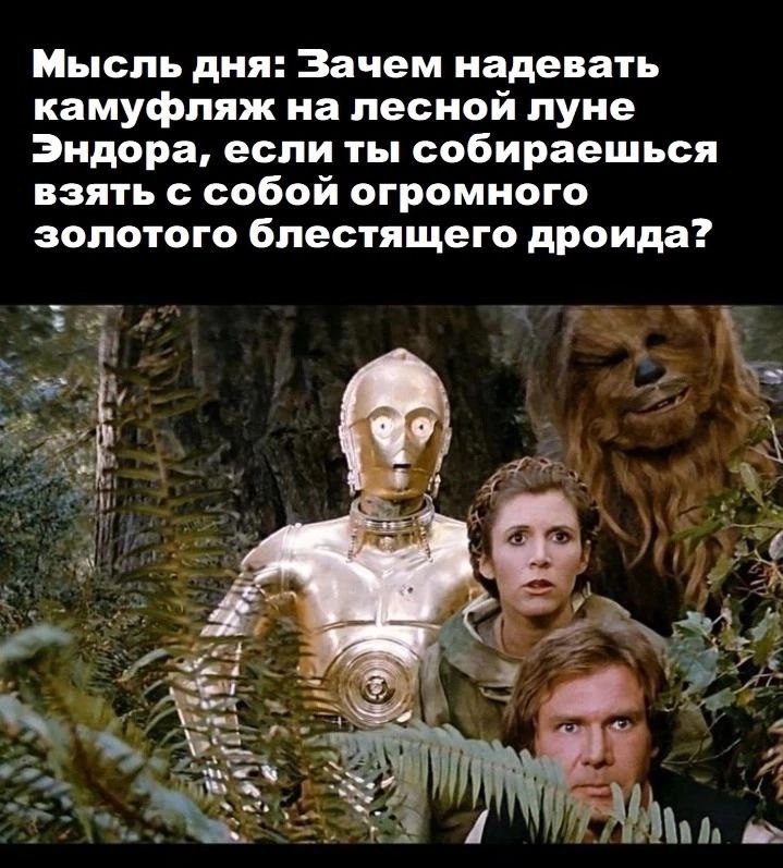 Мысль дня: Зачем надевать камуфляж на лесной луне Эндора, если ты собираешься взять с собой огромного золотого блестящего дроида? у а a И
