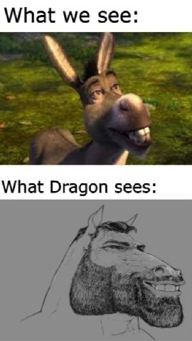 What we see: What Dragon sees: