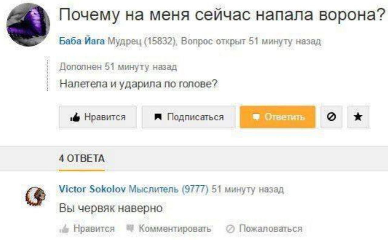 Почему на меня сейчас напала ворона? Баба Йага Мудрец (15832), Вопрос открыт 51 минуту назад Дополнен 51 минуту назад Налетела и ударила по голове? Нравится Подписаться 4 ОТВЕТА Victor Sokolov Мыслите
