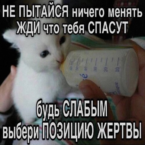 НЕ ПЫТАЙСЯ ничего менять тебя СПАСУТ ane СЛАБЫМ выбери ПОЗИЦИЮ ЖЕРТВЫ