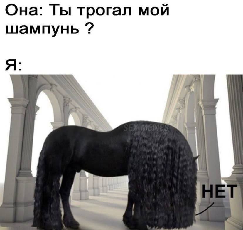 Она: Ты трогал мой шампунь