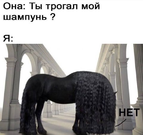 Она: Ты трогал мой шампунь