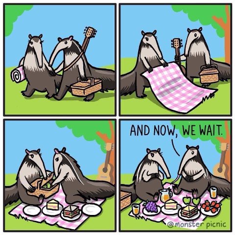 a picnic