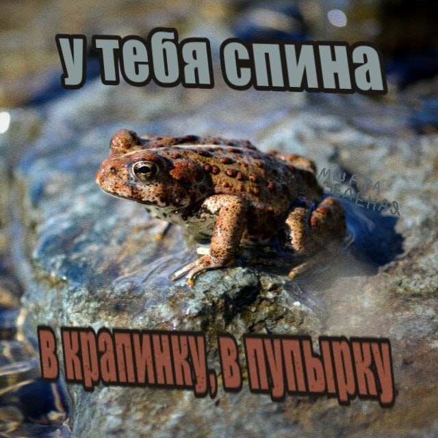 у 4