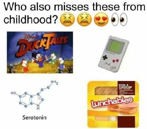 Who also misses these from childhood? (5) 4 CHEDD, Serotonin