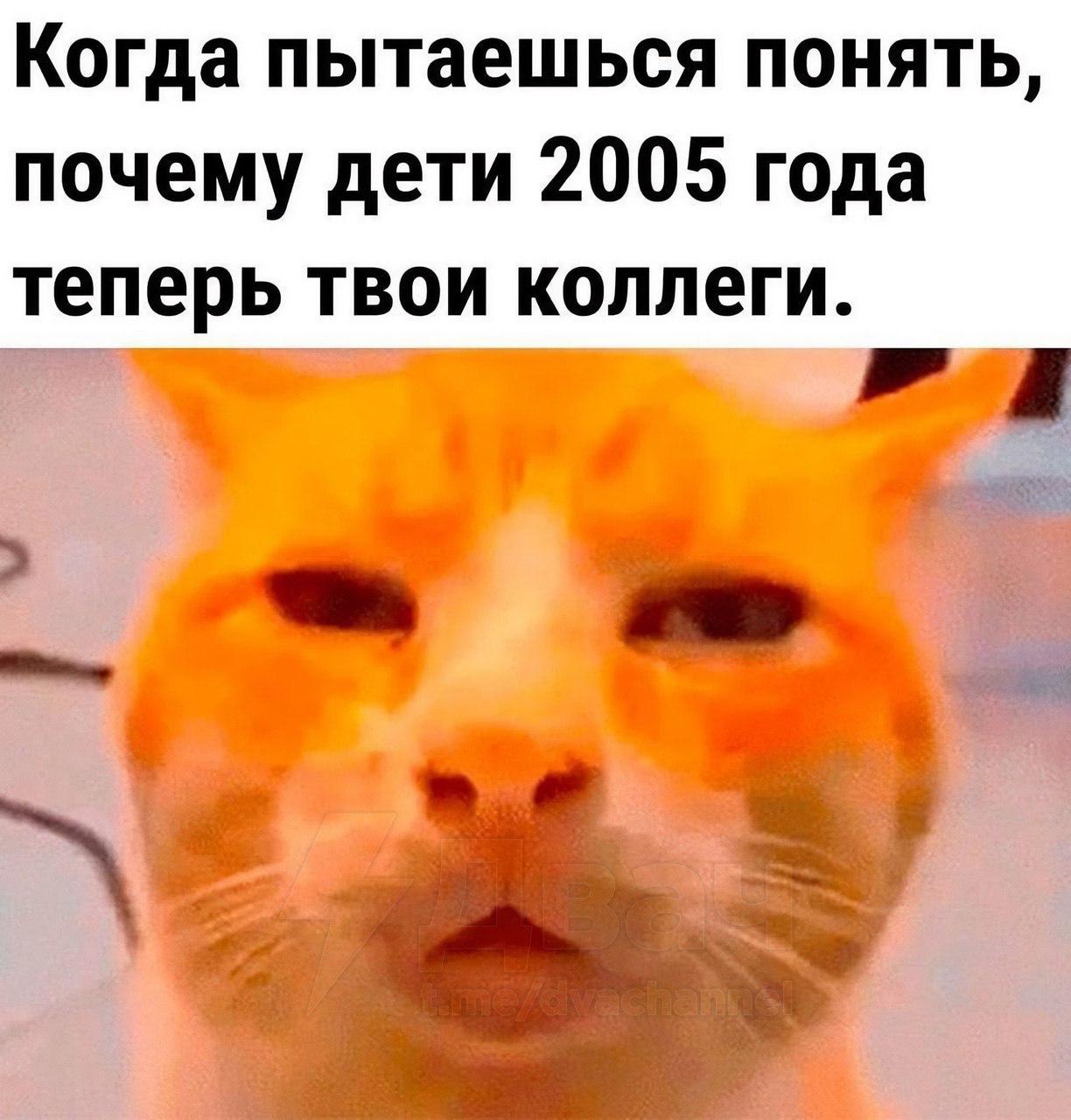 Когда пытаешься понять, почему дети 2005 года теперь твои коллеги.