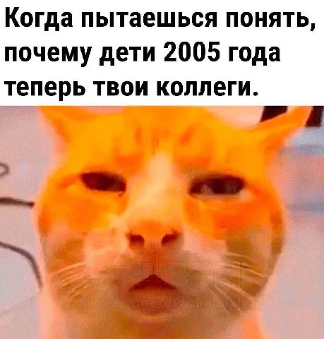 Когда пытаешься понять, почему дети 2005 года теперь твои коллеги.