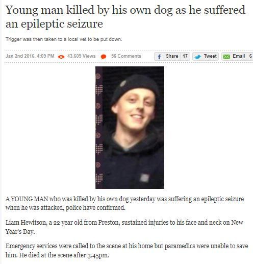 Young man killed his own dog as he suffered an epileptic seizure to a local vet put down Share 17 Tweet #3 Email 6 AYOUNG MAN who was killed his own dog yesterday was suffering an epileptic seizure wh